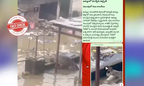 ఫ్యాక్ట్ చెక్: ఖమ్మంలో మొసలి వచ్చిందనే వాట్సప్ మెసేజీ నిజం కాదు. వడోదరకు సంబంధించింది.