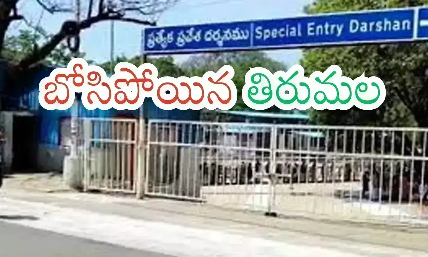 crowd, divotees, tuesday, tirumala