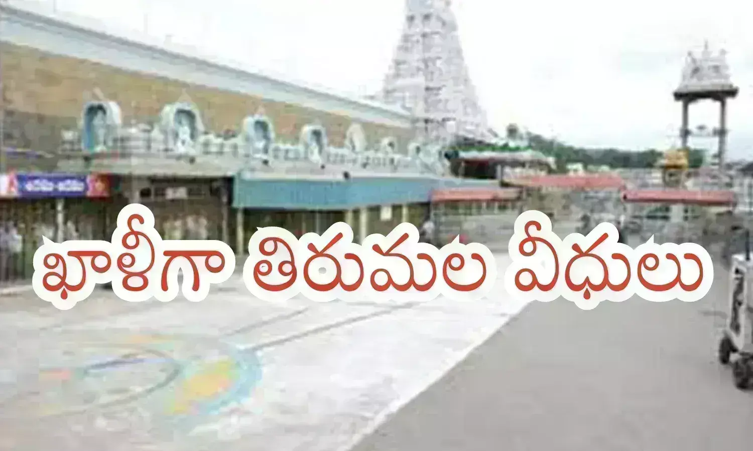 crowd, devotees, wednesday, tirumala