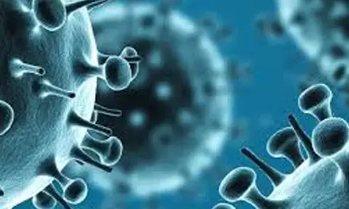 swine flu, medical department, diagnosed, telangana