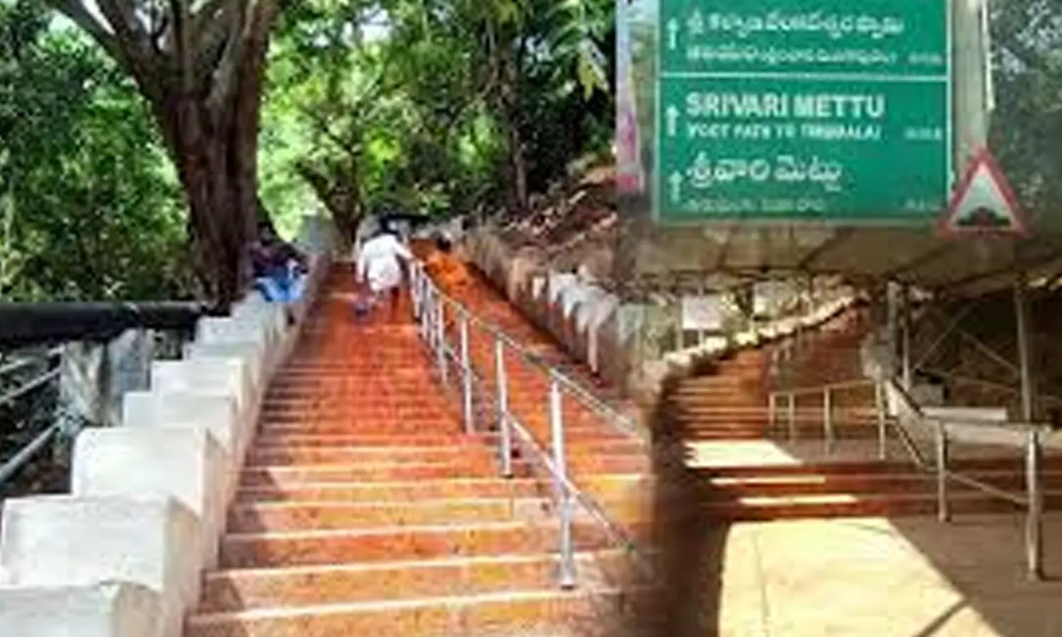good news, devotees, walkway, tirumala good news, devotees, walkway, tirumala