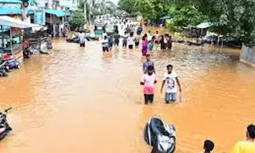 central team, visit, today,  andhra pradesh