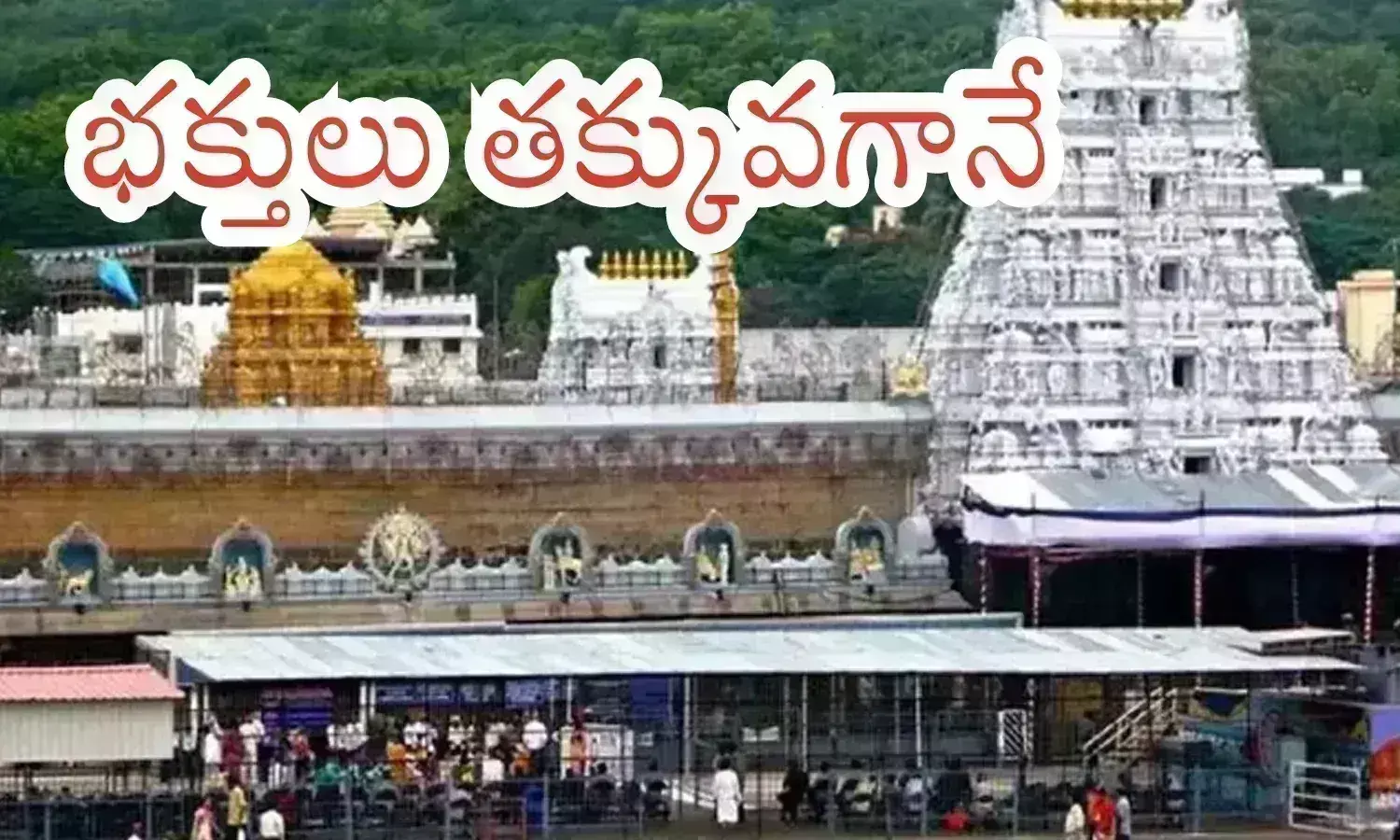 crowd, devotees, friday, tirumala