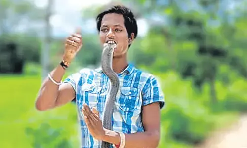sivaraju, snake catcher, desaipet, telangana