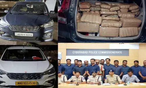 Cyberabad Police: 254 కిలోల గంజాయిని స్వాధీనం చేసుకున్న సైబరాబాద్ పోలీసులు