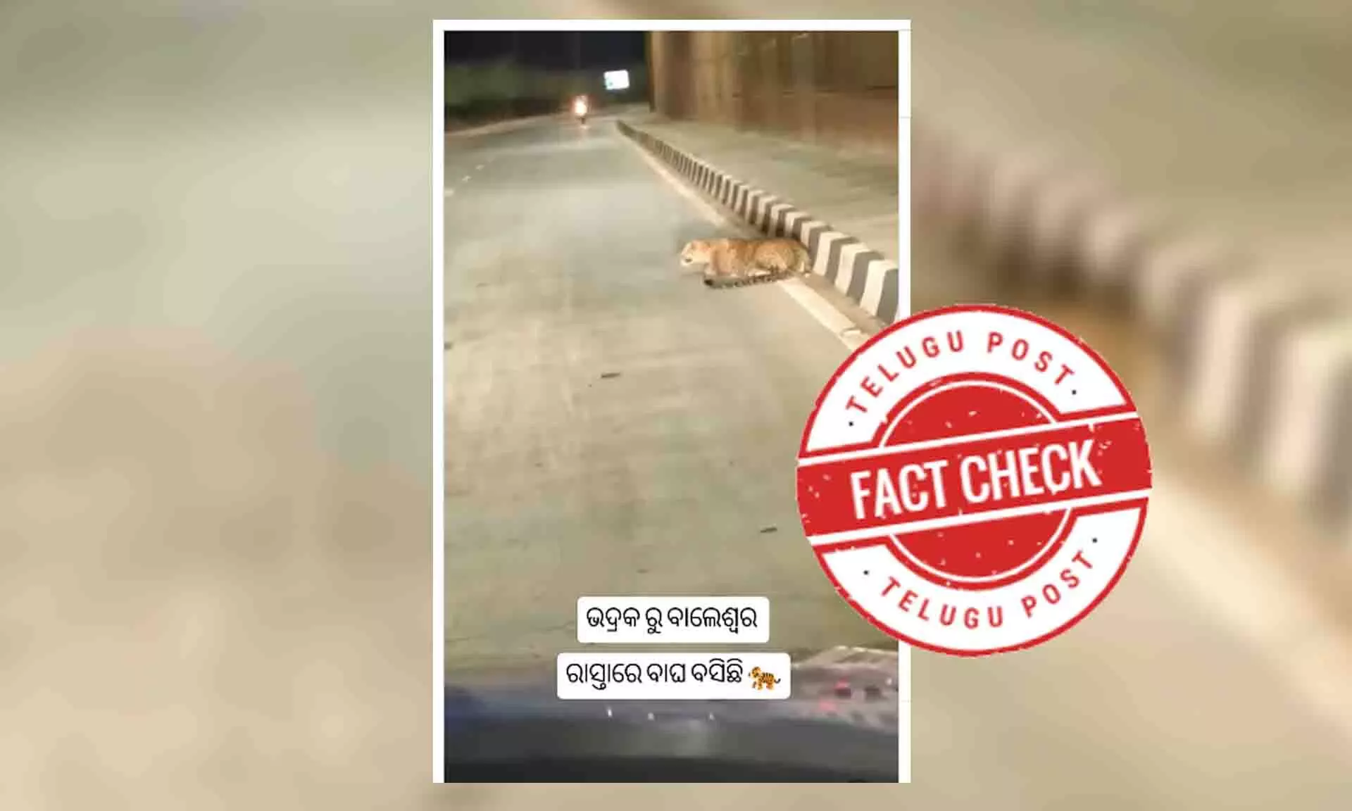 Fact Check: ରାସ୍ତାଉପରେ କଲରାପତରିଆ ବସିଥିବା ଭିଡିଓଟି କର୍ଣ୍ଣାଟକର, ଓଡ଼ିଶା ସହ ନାହିଁ କୌଣସି ସମ୍ପର୍କ