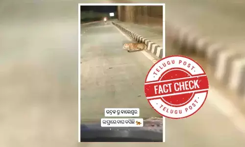 Fact Check: ରାସ୍ତାଉପରେ କଲରାପତରିଆ ବସିଥିବା ଭିଡିଓଟି କର୍ଣ୍ଣାଟକର, ଓଡ଼ିଶା ସହ ନାହିଁ କୌଣସି ସମ୍ପର୍କ