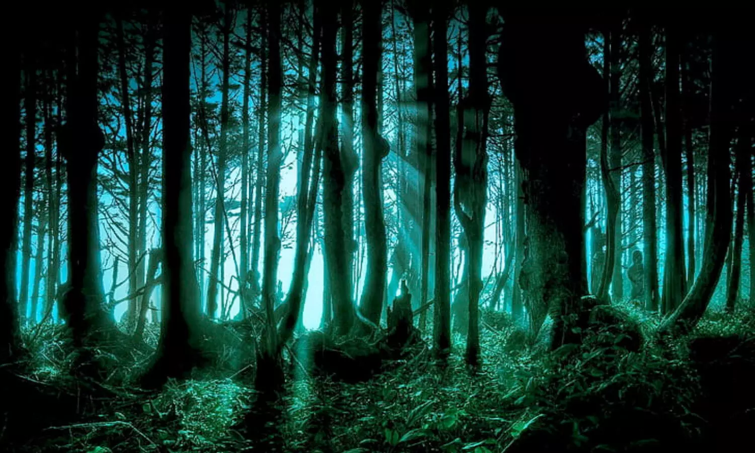 మేకలను మేపడానికి వెళ్లి తిరిగి రాలేదు.. అడవిలోకి వెళ్లి చూస్తే!