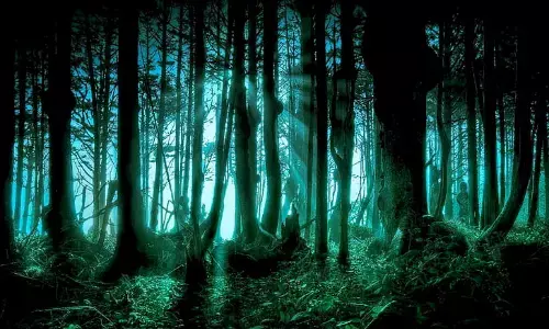 మేకలను మేపడానికి వెళ్లి తిరిగి రాలేదు.. అడవిలోకి వెళ్లి చూస్తే!