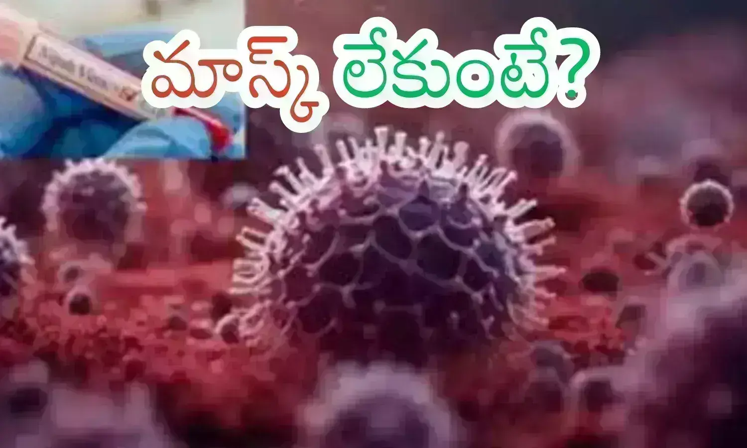 nifa virus, mask, death, kerala, people of kerala are panicking with the latest nifa virus, latest nifa virus in kerala