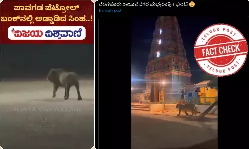 streets Karnataka, lion, gujarath amreli, showing that lion was seen roaming the streets Karnataka is not true, facts about  lion was seen roaming the streets Karnataka