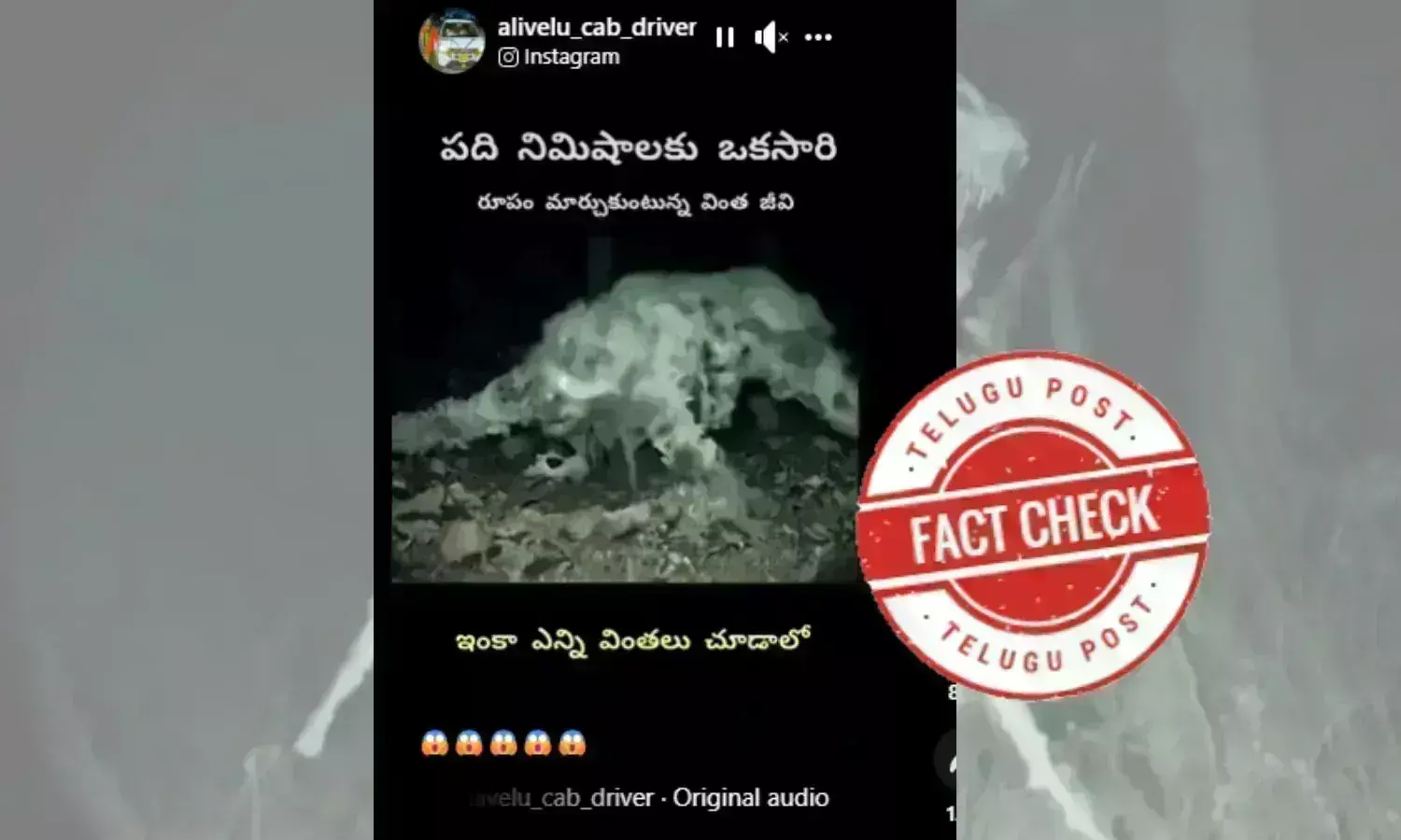 Navajo tribe, skinwalkers, dark web, shape-shifting creature, paranormal activity, Skinwalker Ranch