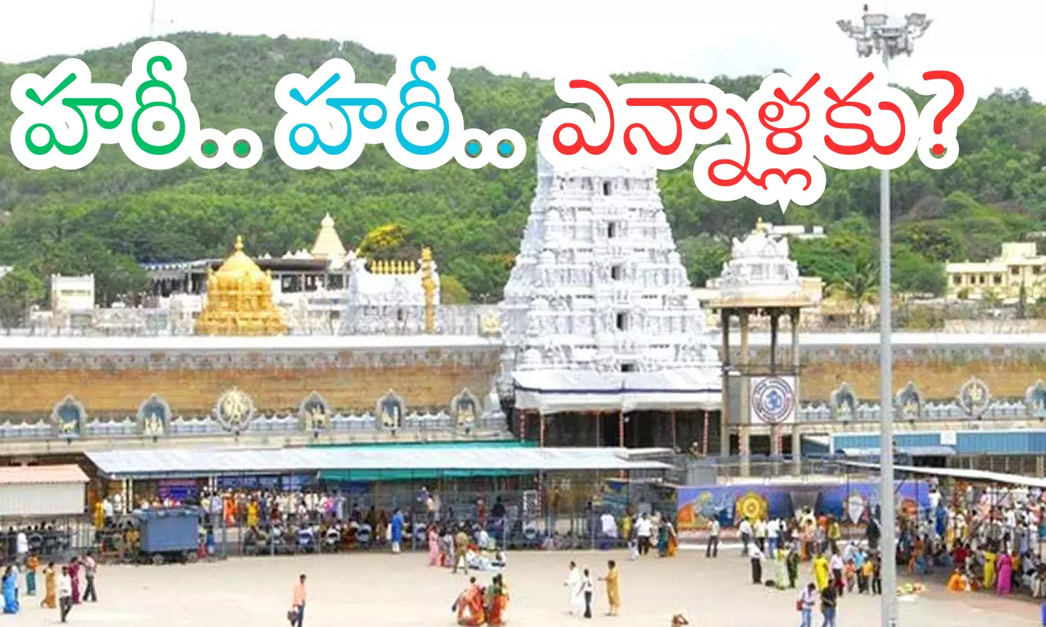 crowd, devotees, sunday, tirumala
