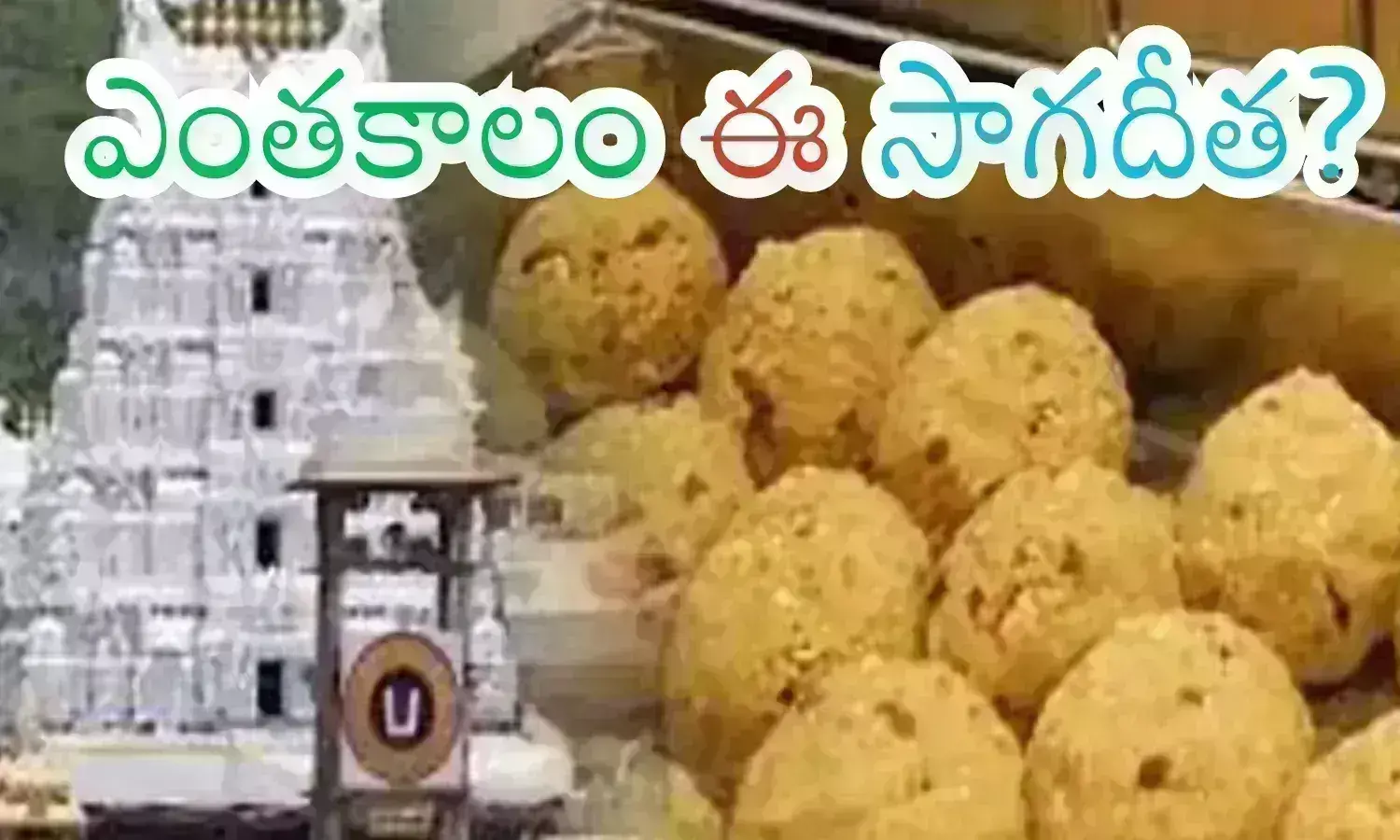 tirumala laddu, controversy, animal oil, chandrababu