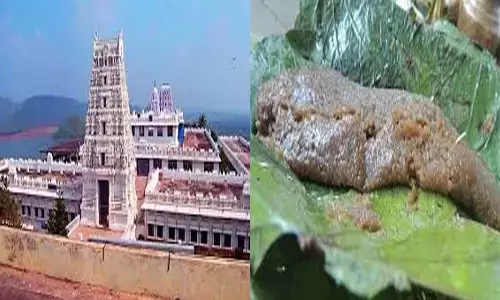 ghee, investigation, low price, annavaram, government inquired about the supply of ghee in annavaram, upply of ghee in annavaram. officials have started investigation, latest news about ghee,  ghee prices today in annavaram