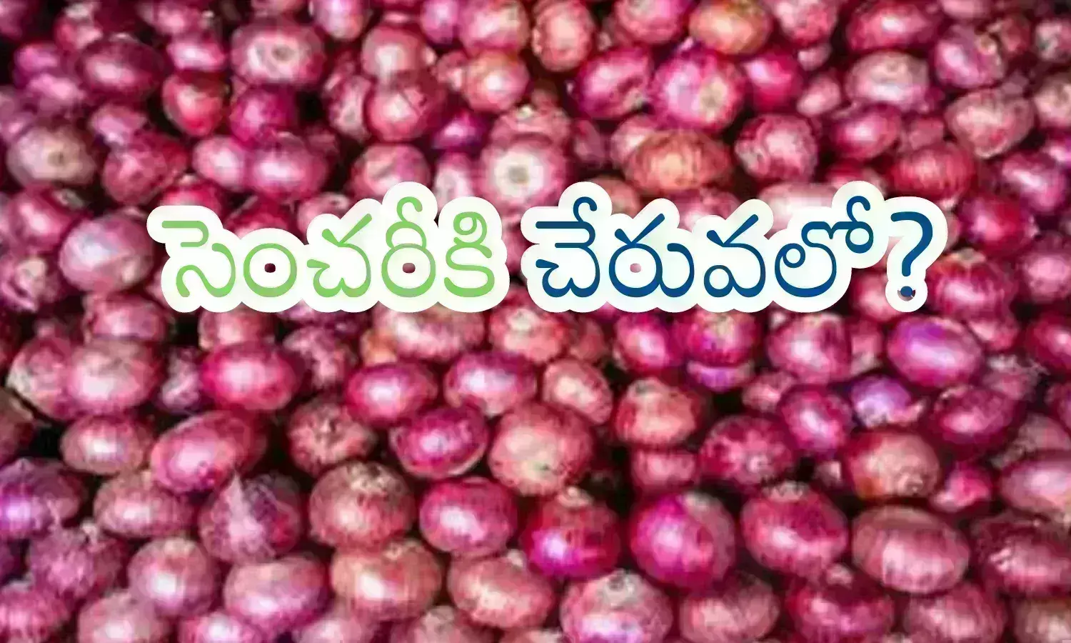 onion, prices, sudden increase, central government, onion prices increased suddenly, onion prices todayin india, latest news on onnion prices today telugu