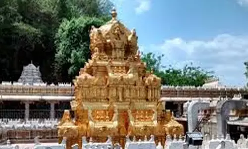 authorities have stopped power supply to durga temple in vijayawada