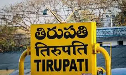 investigation, commission, stampede,  tirupati