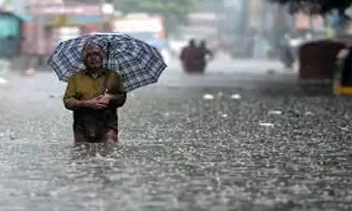 rain, meteorological department, five days, telangana