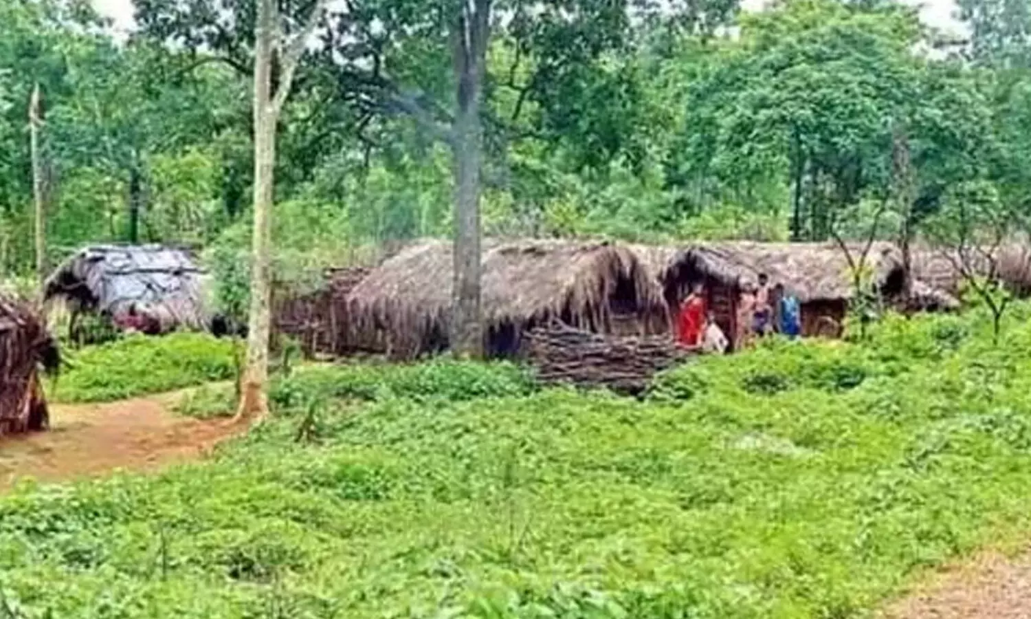 ribal villages, provide,  all facilities, andhra pradesh