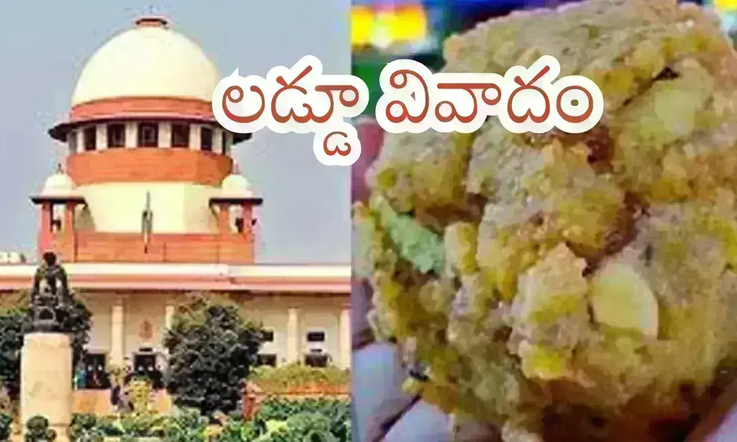 supreme court, comments, laddu controversy, tirumala supreme court, comments, laddu controversy, tirumala