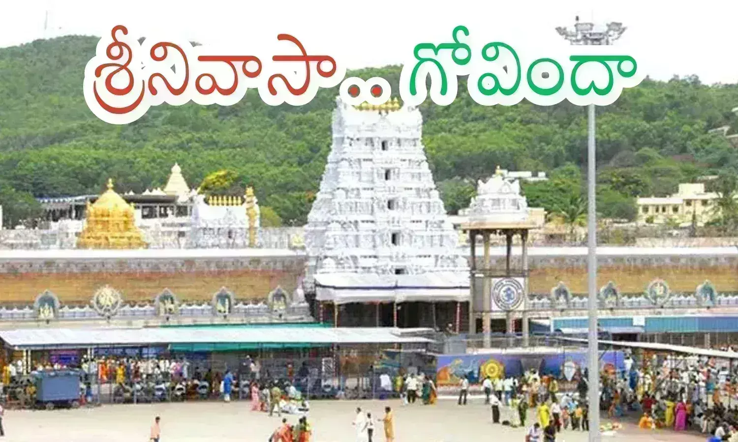 crowd, devotees, wednesday, tirumala, devotees continue to flock to tirumala today, tirumala darshan timings, tirumala darshan waiting time, tirumala latest updates