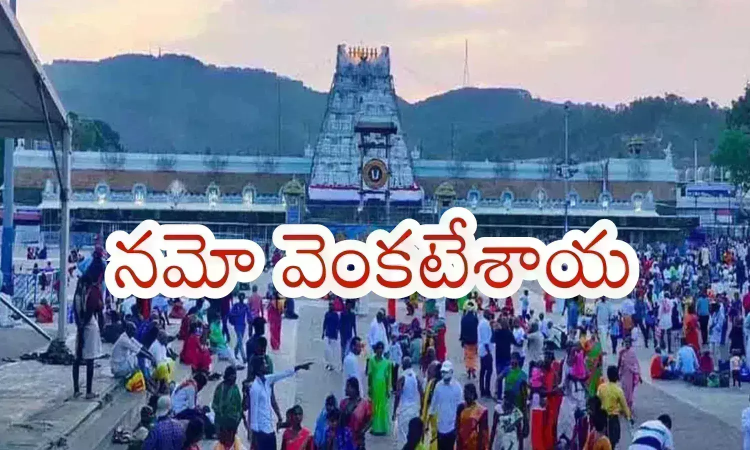 rush, devotees, brahmotsavam,  tirumala, brahmotsavam of tirumala venkateswara swamy 2024, devotees in tirumala today, tirumala darshan timings today