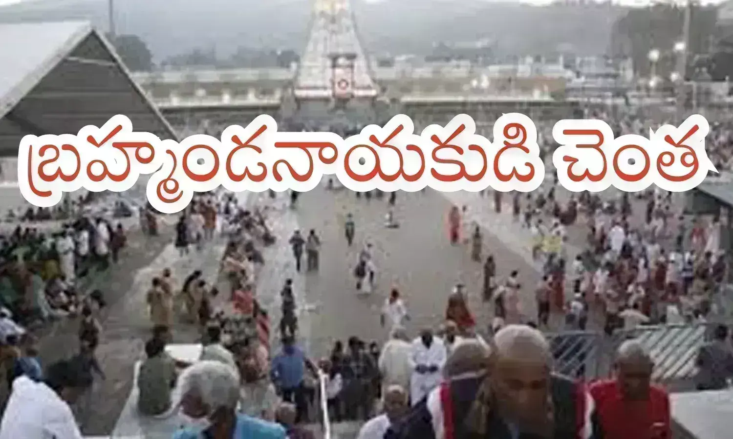 crowd, devotees, brahmotsavam, tirumala darshan timings today, tirumala is crowded with devotees today, brahmotsavam in tirumala2024