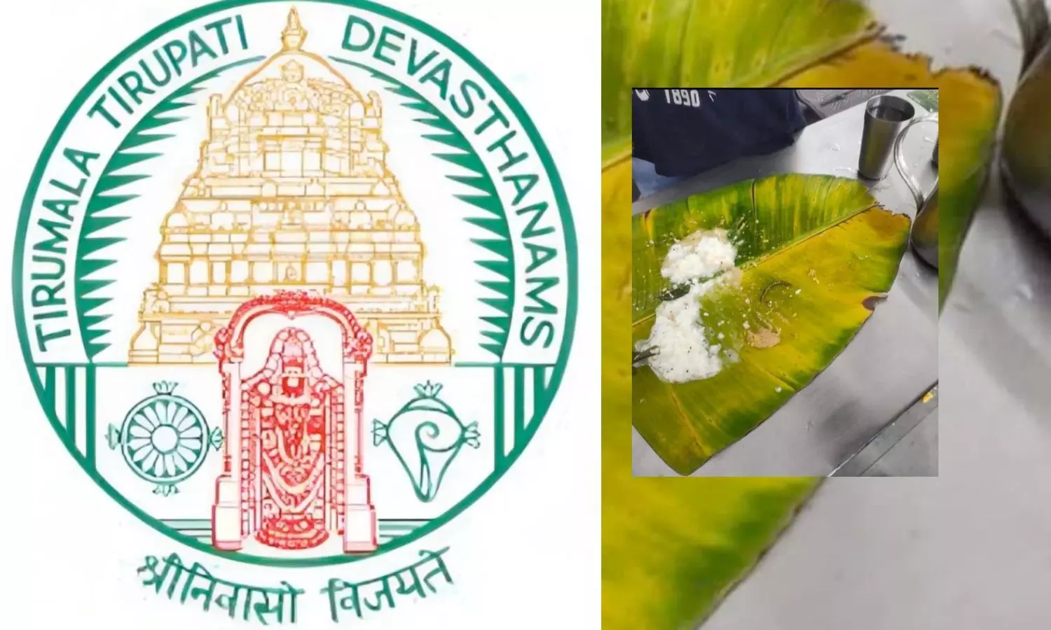 TTD: తిరుమల అన్నదానంలో జెర్రి.. అది దుష్ప్రచారం అంటూ కొట్టేసిన టీటీడీ