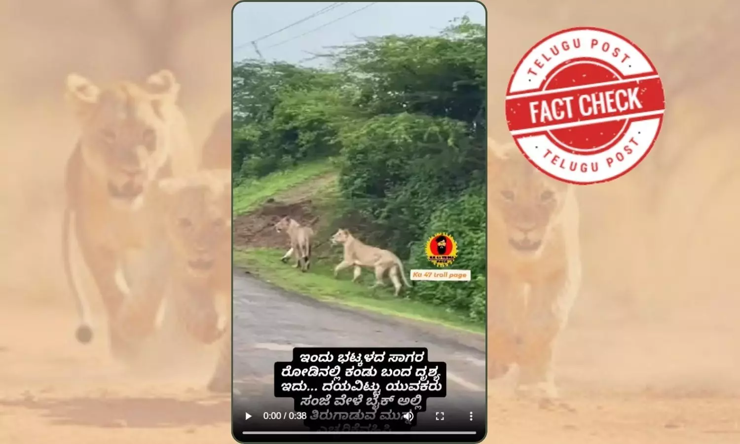 ಫ್ಯಾಕ್ಟ್‌ಚೆಕ್‌: ಸಾಗರ-ಭಟ್ಟಳ ರಸ್ತೆಯಲ್ಲಿ ಸಿಂಹಗಳ ಗುಂಪೊಂದು ಓಡಾಡುತ್ತಿಲ್ಲ