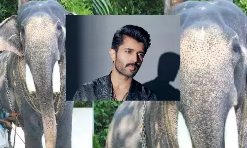 VD12, VijayDevarakonda, VijaydevarakondaMovie, vijay devarakonda movie shooting latest news today,  vijay devarakonda movie shooting elephant missing Elephants wreak havoc on sets in Kerala, latest movie news telugu