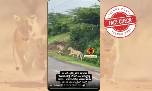 ಫ್ಯಾಕ್ಟ್‌ಚೆಕ್‌: ಸಾಗರ-ಭಟ್ಟಳ ರಸ್ತೆಯಲ್ಲಿ ಸಿಂಹಗಳ ಗುಂಪೊಂದು ಓಡಾಡುತ್ತಿಲ್ಲ