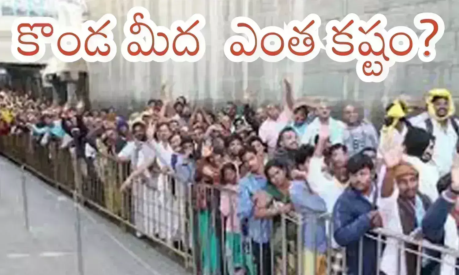 rush, devotees, brahmotsavam 2024,  tirumala darshan timings today,  devotees continue to throng tirumala today telugu, tirumala online booking tickets