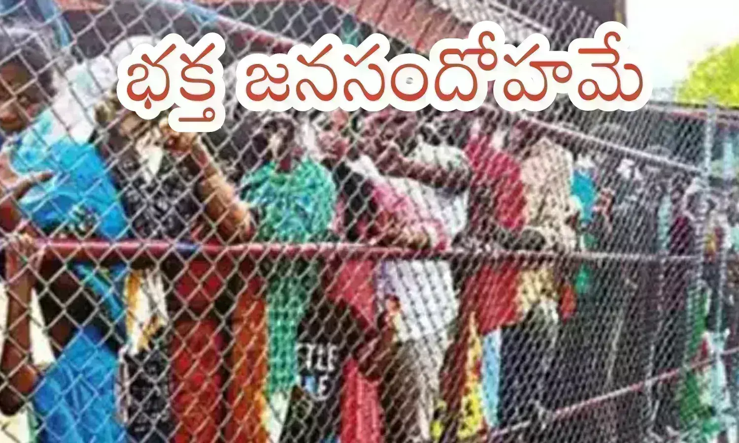 rush, devotees, garuda vahana seva in tirumala, tirumala darshan timings today, garuda vahana seva is held on tuesday rush, devotees, garuda vahana seva in tirumala, tirumala darshan timings today, garuda vahana seva is held on tuesday