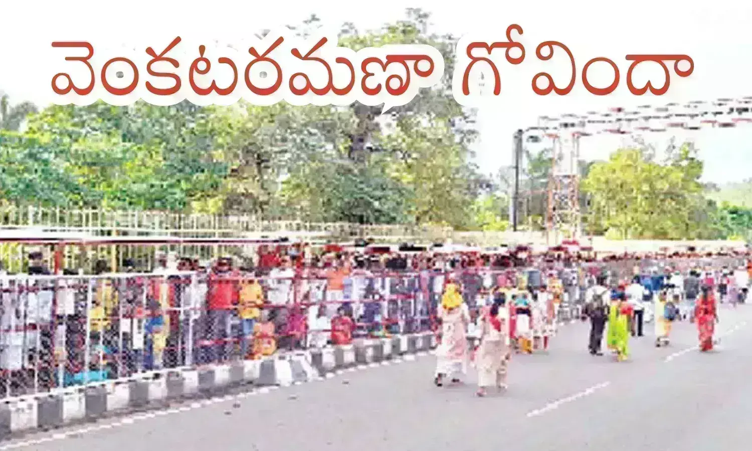 rush, devotees, brahmotsavam, tirumala darshan, Tirumala darshan waiting time today