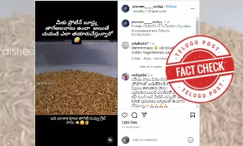 Protein powders are made from mealworms, whey protein powder, whey prepared from curdled milk, Protein powders available in the market are not manufactured using worms, facts on Protein powders, how whey protein powder is prepared, factcheck news latest news on protein powder telugu