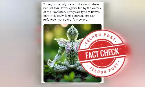 ୟୋଗୀ, ଫୁଲ, ଏଆଇ, AI-generated flower image is being promoted as the exclusive Yogi Flower, AI-generated flower image, factcheck on yogi flower latest news, odia factcheck news today, facts onyogi flower