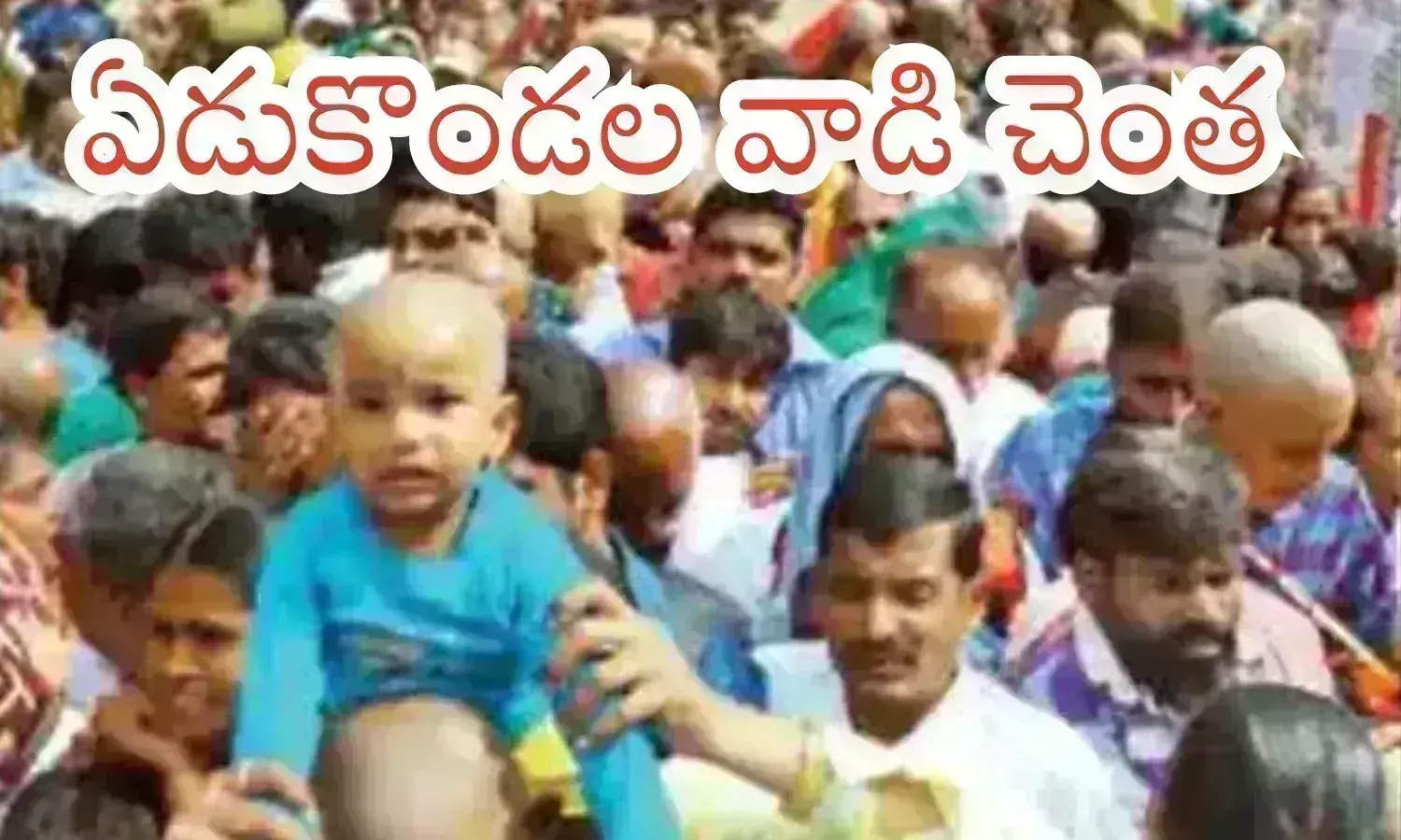 rush in tirumala tdoay,  devotees, monday,  tirumala darshan timings today, monday rush today in tirumala, AP news latest today telugu