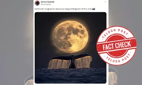 Image wins best photograph award, Best photograph of 2024, Whale and Moon, Image claiming National Geographic Award-winning photograph of the year is AI generated, viral image National Geographic Award-winning is AI generated, factcheck news today