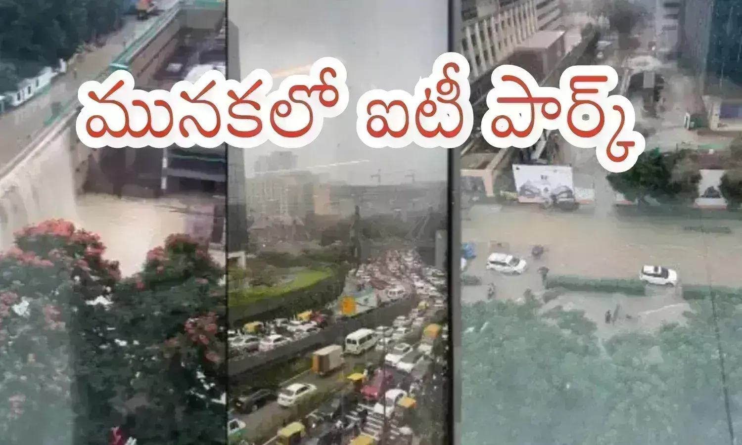 submerged,  heavy rains in bengaluru, IT hub, bengaluru, biggest IT hub manyata tech park was also submerged, latest news today online, weather news in Bengaluru today