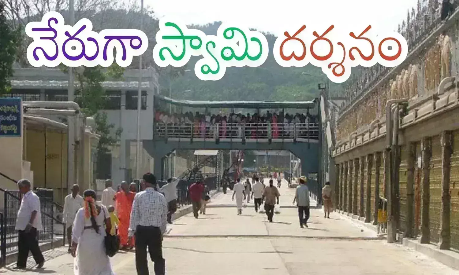 tirumala darshan today, direcit line, crowd in tirumala monday, tirumala darshan timings,  direct darshan is possible in tirumala today