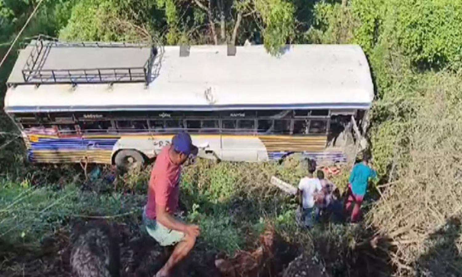 accident,  pulivendula, rtc bus, fell into the valley