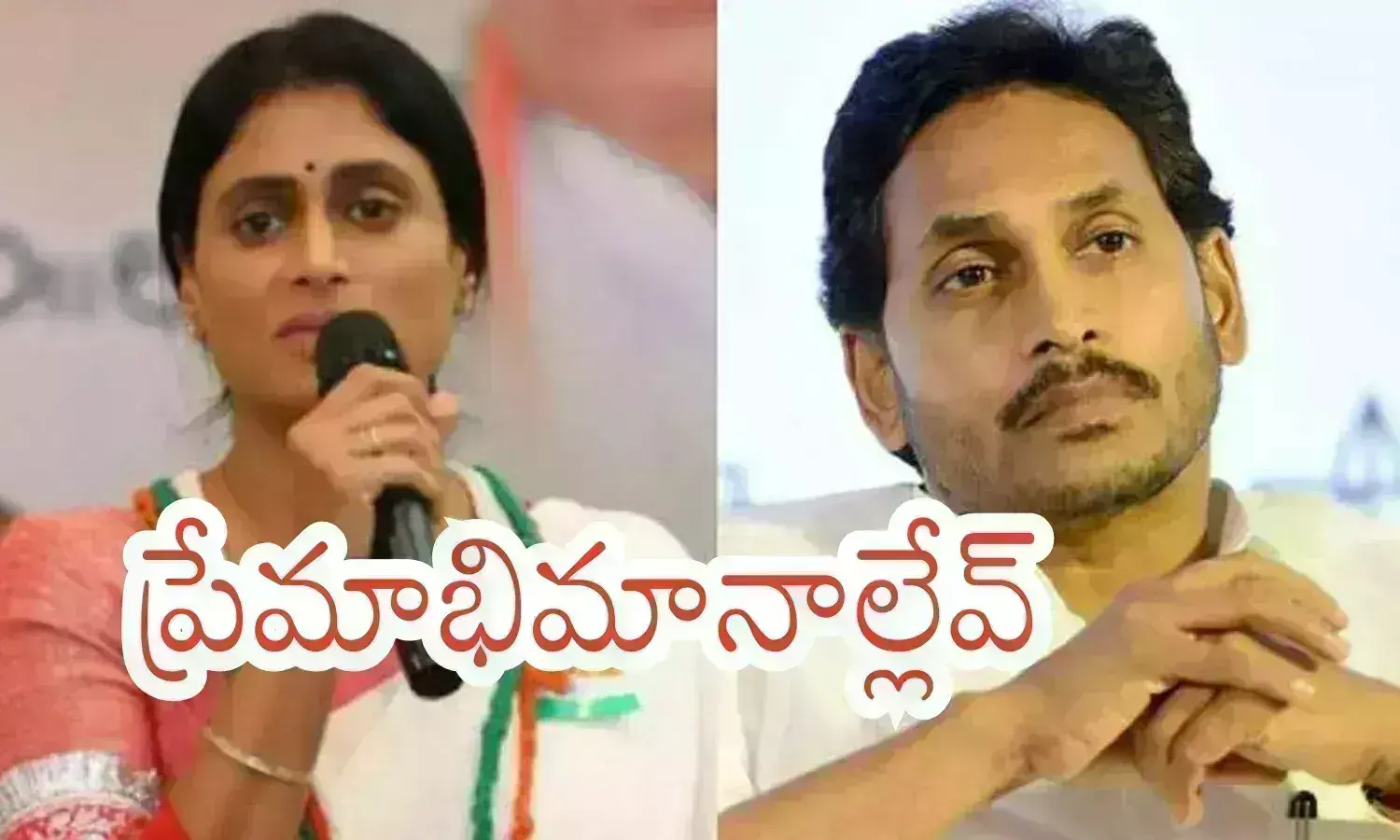 ys jagan, ys sharmila,  properties, court