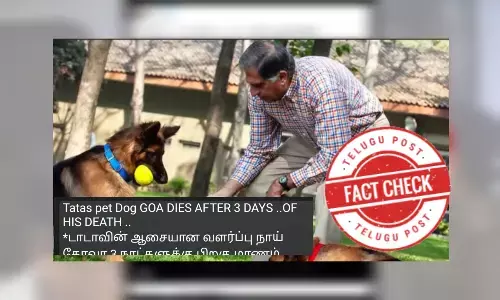 ରତନ ଟାଟା, ପୋଷା, କୁକୁର, ଗୋଆ, Ratan Tatas pet dog,  death of Ratan Tatas pet dog Goa is a rumour, viral news of Ratan Tatas pet dog, facts on Ratan Tatas pet dog, odia factcheck news today