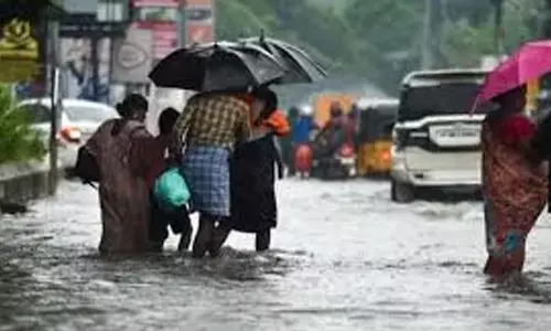 heavy rains in tamilnadu today, yellow alert, weather news today, latest weather report today in tamilnadu, dana cyclone latest news telugu