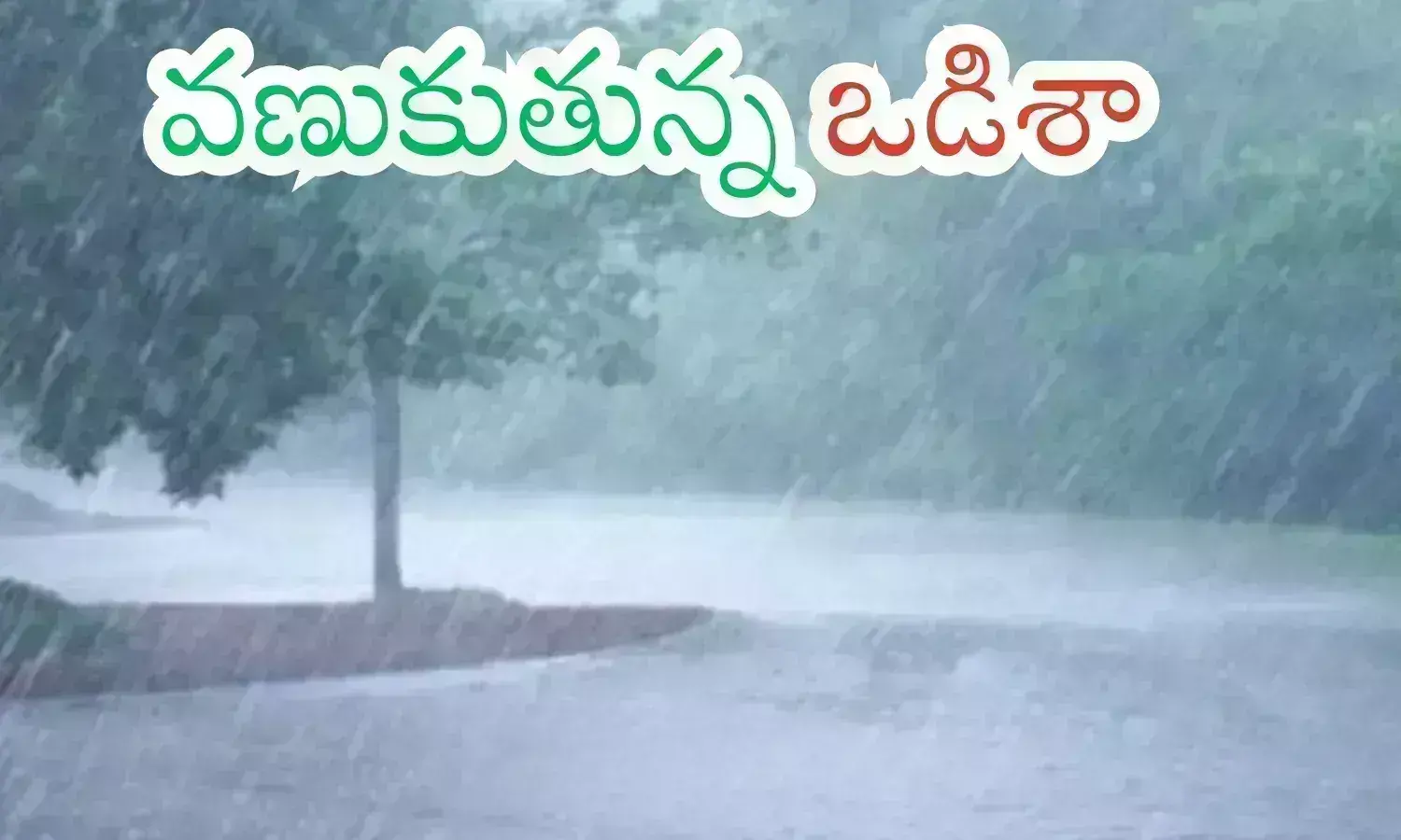 heavy rains  in odisha today, cyclone, dana,  six lakh people  shifted