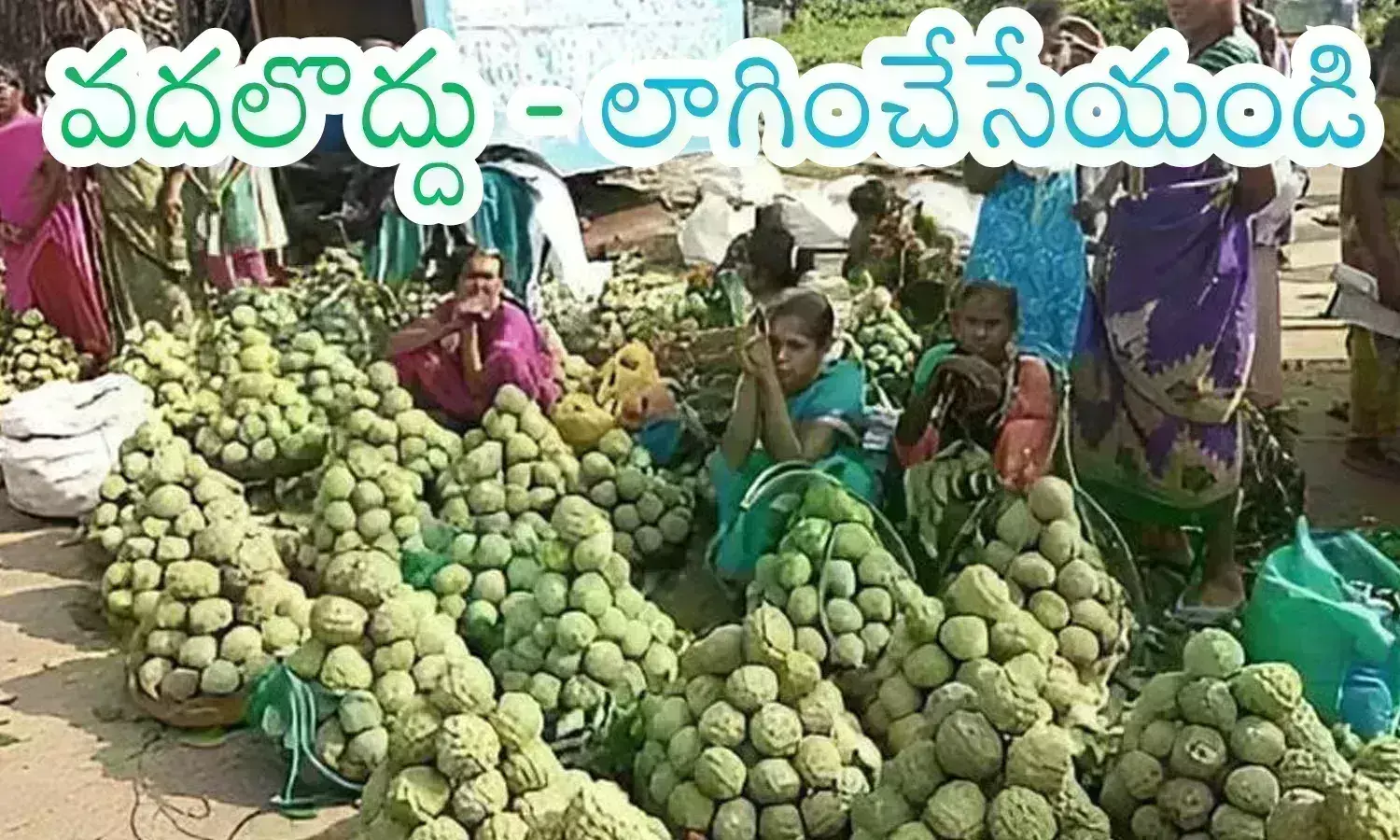 custard apple, season, doctors, heath