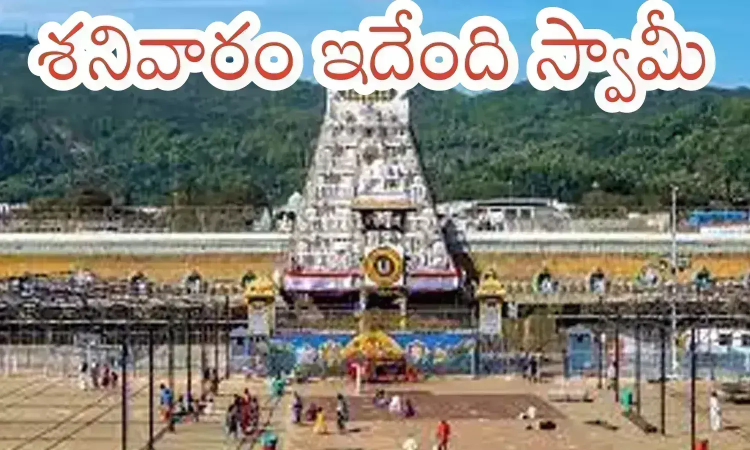 tirumala darshan time today, crowd, divotees,  saturday