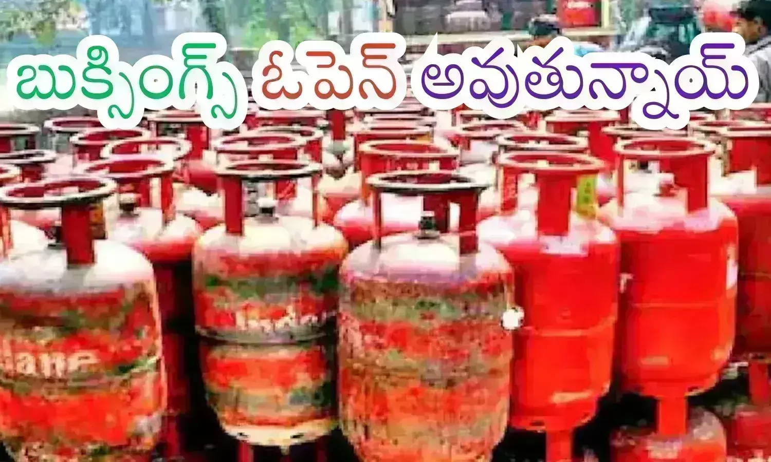 free gas cylinder, women, bookings, andhra pradesh