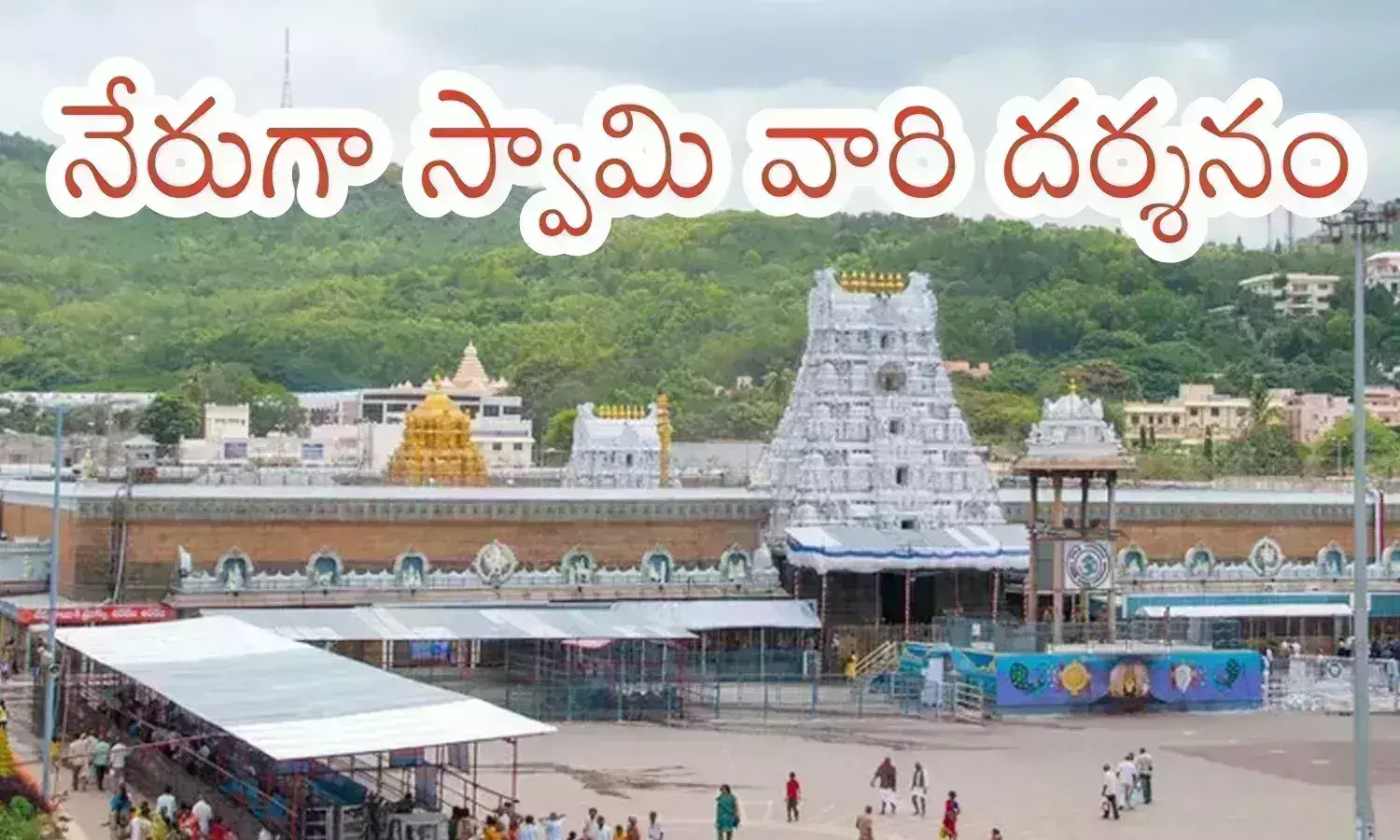 darshan time in tirumala today, crowd,  devotees, compartments